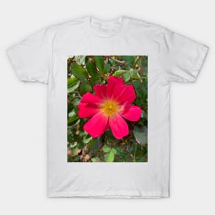 Pink rose flower T-Shirt
